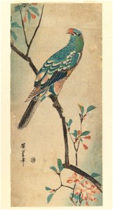 Brooklyn Museum - Green Parrot on a branch with red flowers - Utagawa Hiroshige (Ando). Free illustration for personal and commercial use.