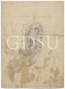 Bronzino - inv 6552 F r.