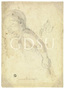 Bronzino - inv 6639 F