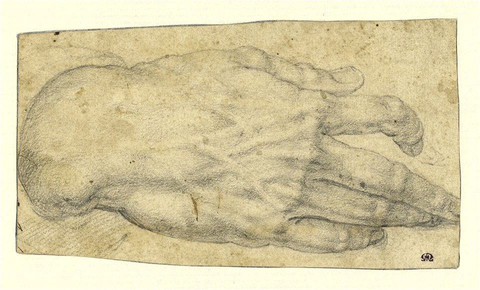 Bronzino - Study of a man's right hand (recto), 92.GB.40
