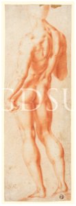 Bronzino - scuola - inv 6624 F