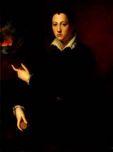 Angelo Bronzino - Ritratto di Cosimo I de Medici (Museo dell'Ermitage)