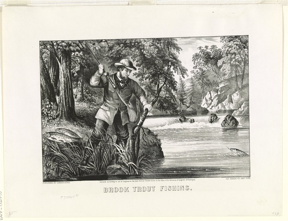 Brook trout fishing LCCN90713008