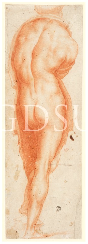 Bronzino - copia da - inv 6621 F