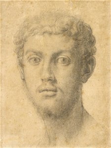Bronzino - Head of a Man, 90.GB.29
