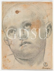 Bronzino - inv 13847 F