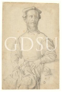 Bronzino - inv 6698 F