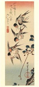 Brooklyn Museum - Tanzaku Four Swallows - Utagawa Hiroshige (Ando)