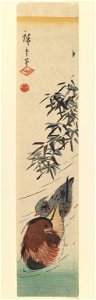 Brooklyn Museum - Pair of Mandarin Ducks - Utagawa Hiroshige (Ando)