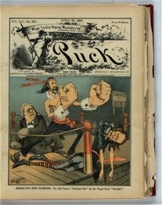 Brooklyn's new champion - the old-timers knocked out by the prayer-cure pounder - F. Opper. LCCN2012645467