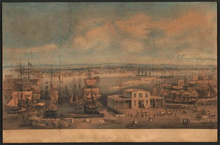 Brooklyn, L.I., as seen from Trinity Church, New York - painted by J.W. Hill ; Smith, Brors. del. LCCN2014645205