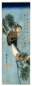 Brooklyn Museum - Owl on a Pine Branch - Utagawa Hiroshige (Ando). Free illustration for personal and commercial use.