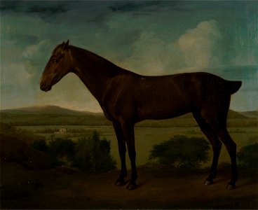 Brown Horse in a Hilly Landscape - Google Art Project. Free illustration for personal and commercial use.