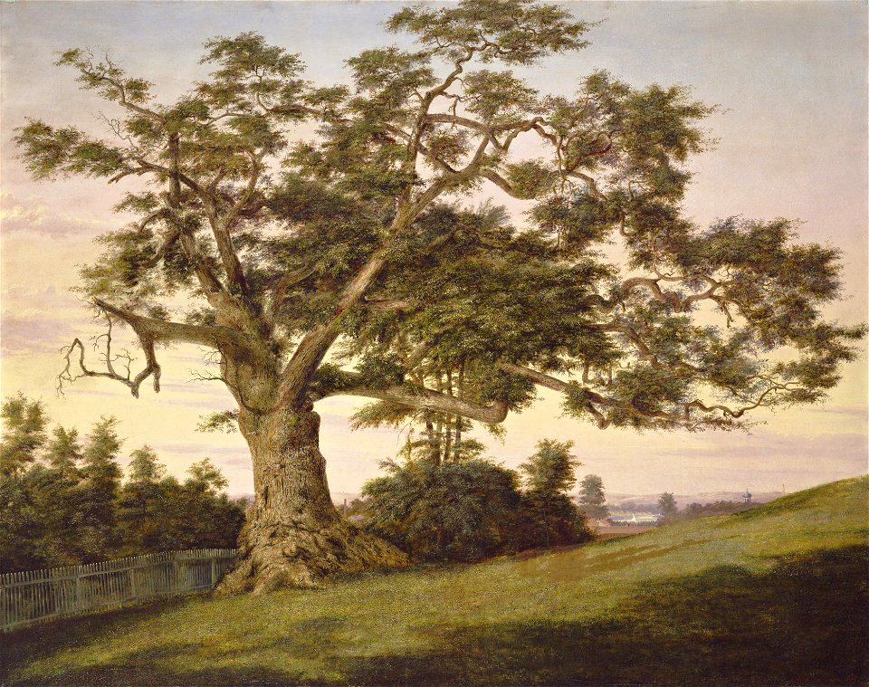 Charles De Wolf Brownell - The Charter Oak (1857)