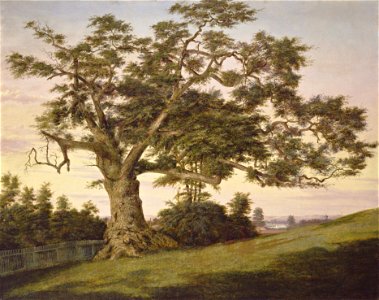 Charles De Wolf Brownell - The Charter Oak (1857)