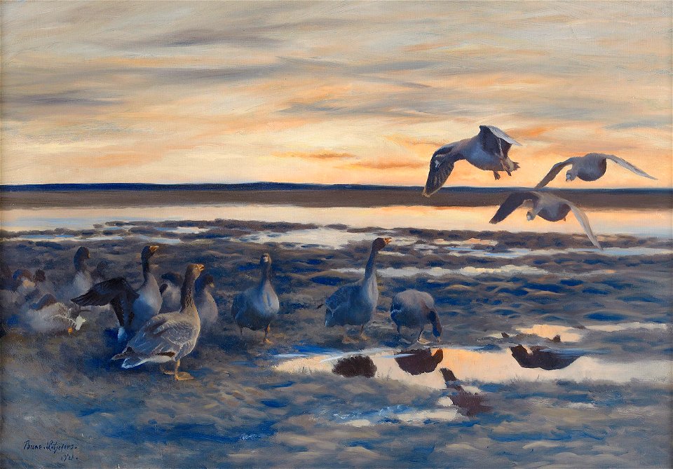 Bruno Liljefors - Bean geese shedding 1921