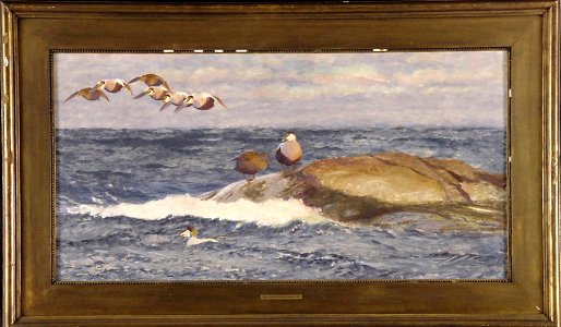 Bruno Liljefors - Eidereenden boven woelige zee - 0208 - Rijksmuseum Twenthe