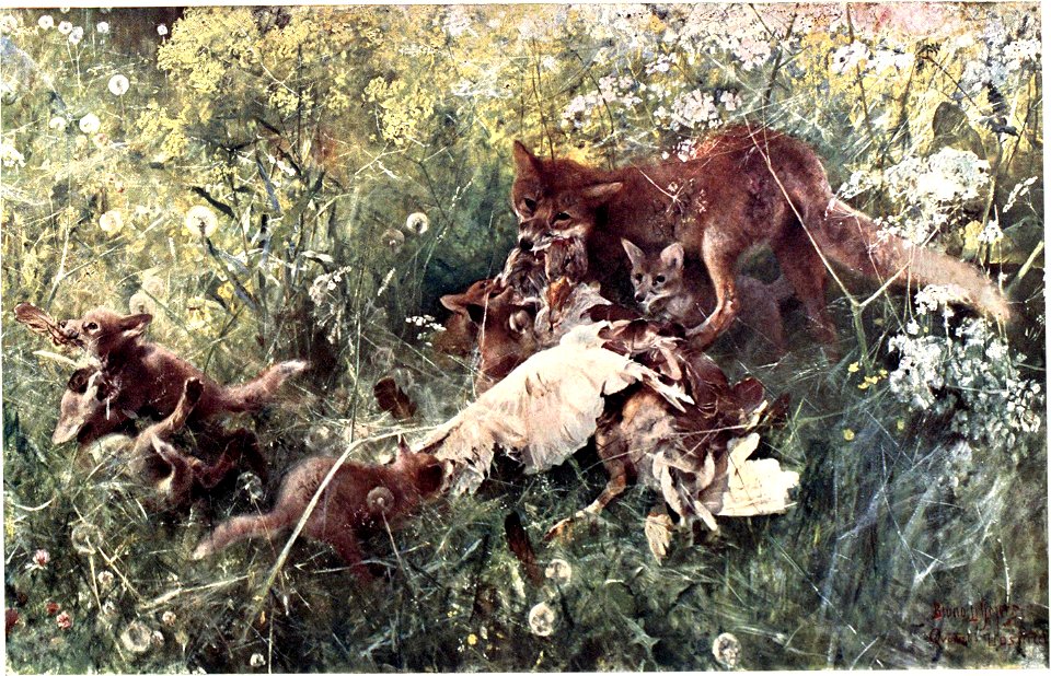 Bruno Liljefors - Fuchsfamilie