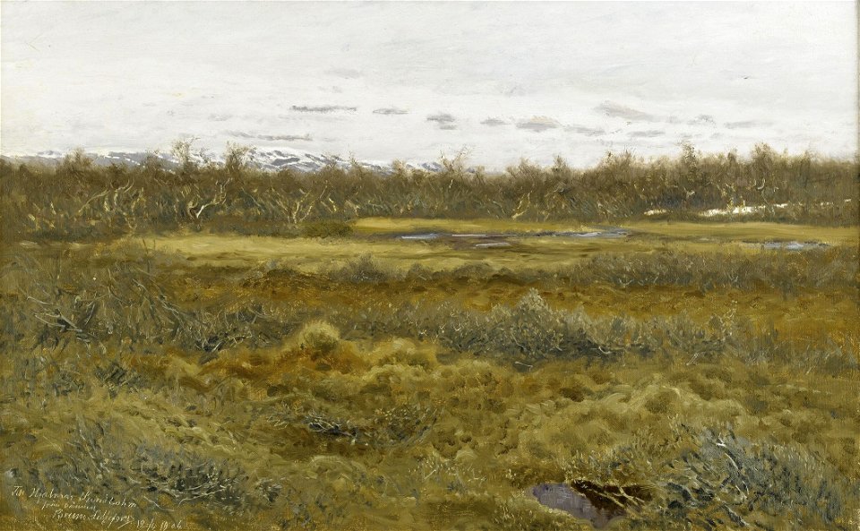 Bruno Liljefors - Landscape with fell 1904