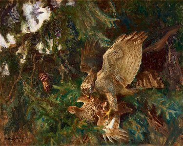 Bruno Liljefors - Rovfågel slående byte 1919