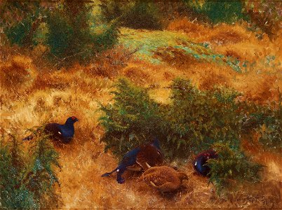 Bruno Liljefors - Höstlandskap med orrar 1910