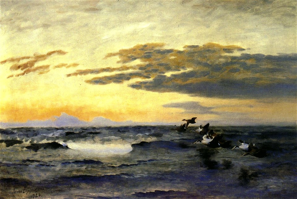 Bruno Liljefors - Eiders at Sunrise