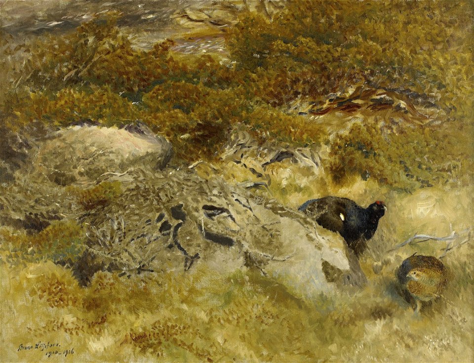 Bruno Liljefors - Landskap med fälthöns 1910-1916