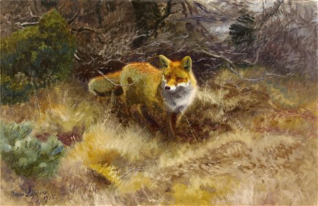 Bruno Liljefors - Fox and landscape 1915