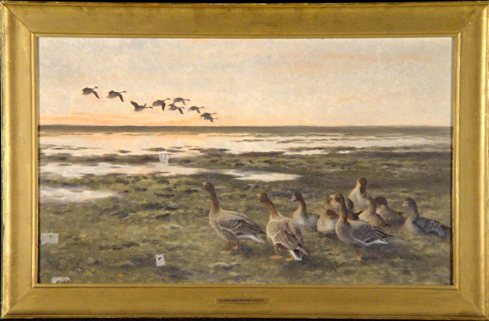 Bruno Liljefors - Neerstrijkende rietganzen bij zonsondergang - 0354 - Rijksmuseum Twenthe