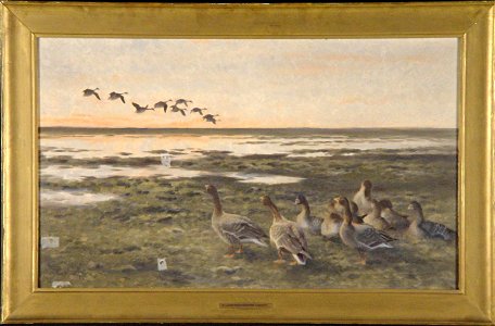 Bruno Liljefors - Neerstrijkende rietganzen bij zonsondergang - 0354 - Rijksmuseum Twenthe