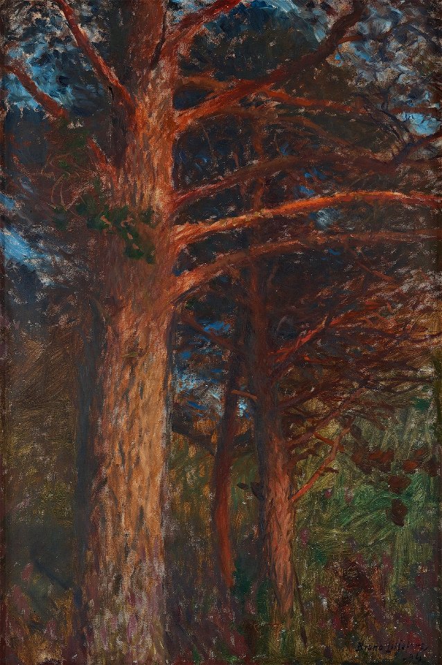 Bruno Liljefors - Tallstammar efter solnedgång 1894
