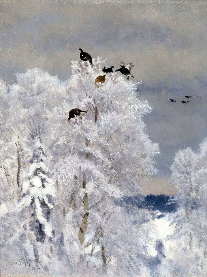 Bruno Liljefors - Black Grouse in a Treetop - A-2002-592 - Finnish National Gallery