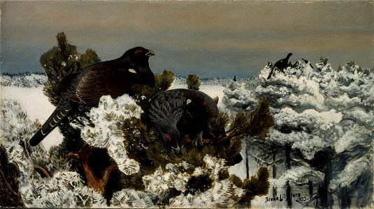 Bruno Liljefors - Capercaillies in a Winter Landscape - A I 631 - Finnish National Gallery