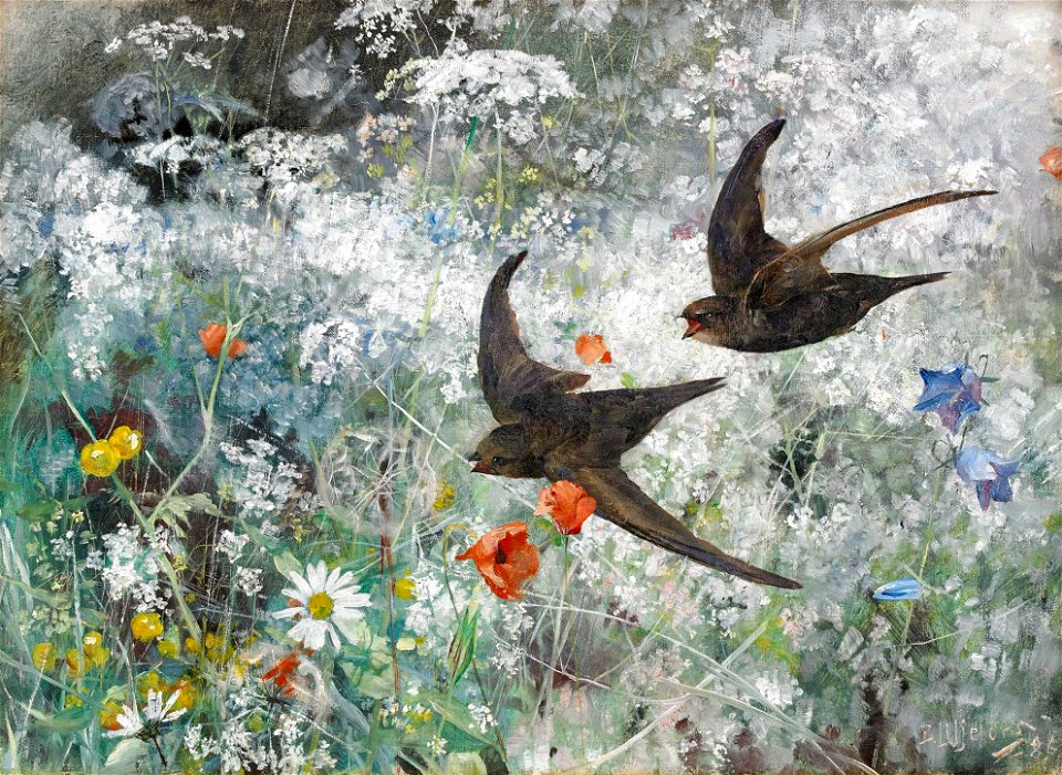 Bruno Liljefors - Common Swifts 1886