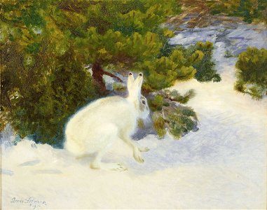 Bruno Liljefors - Vinterhare 1917