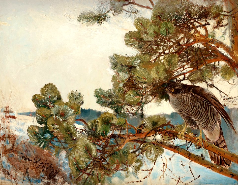 Bruno Liljefors - Duvhök 1888