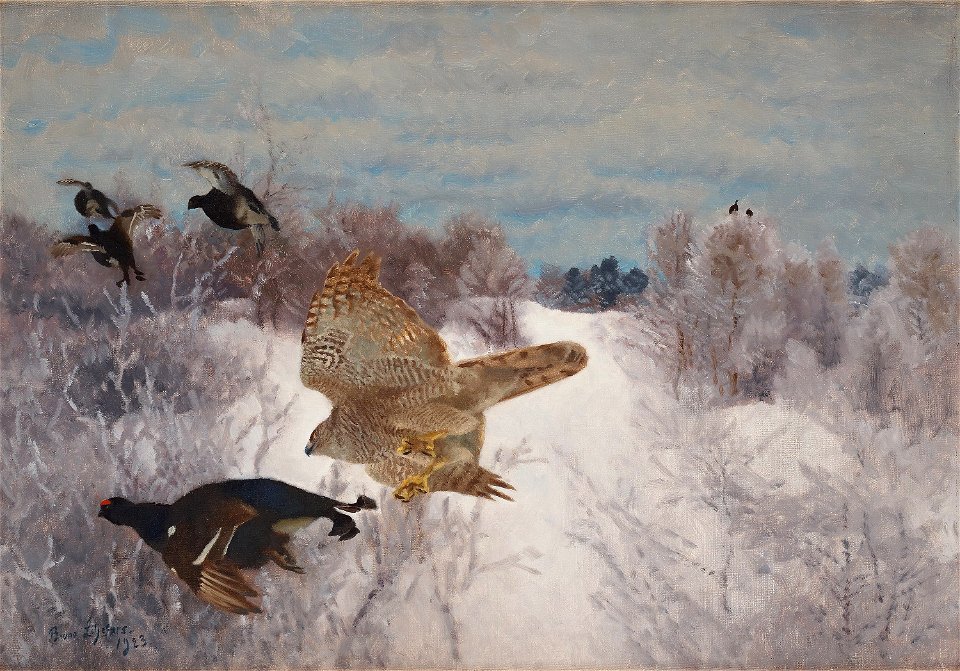 Bruno Liljefors - Duvhök slående orrtupp 1923