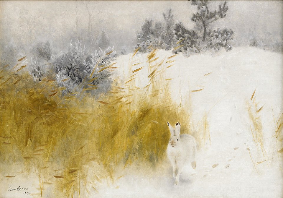 Bruno Liljefors - Winter Hare 1928