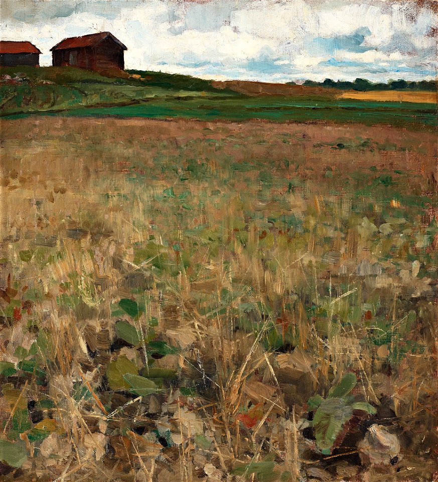Bruno Liljefors - Landskap från Kvarnbo, Uppland 1880's