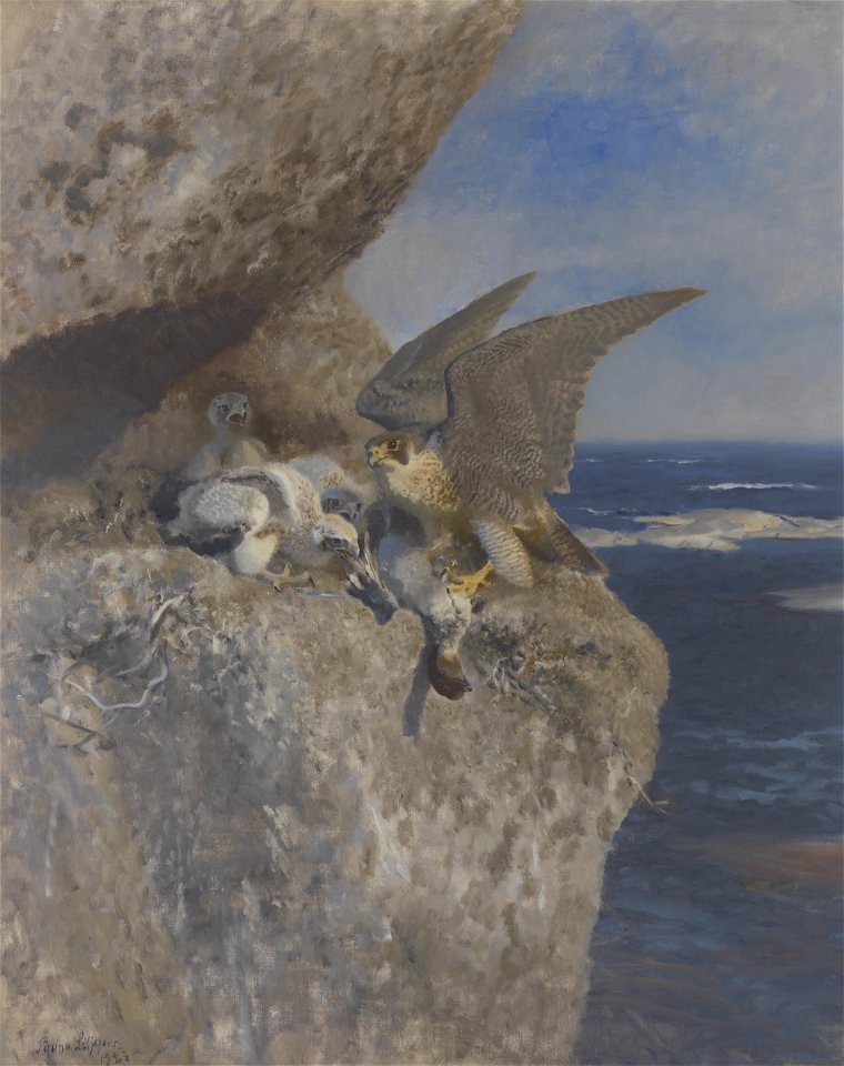 Bruno Liljefors - Slechtvalk met nonnetje als prooi bij zijn nest aan de kust - 0209 - Rijksmuseum Twenthe