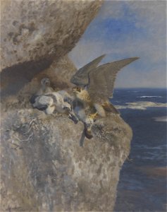 Bruno Liljefors - Slechtvalk met nonnetje als prooi bij zijn nest aan de kust - 0209 - Rijksmuseum Twenthe