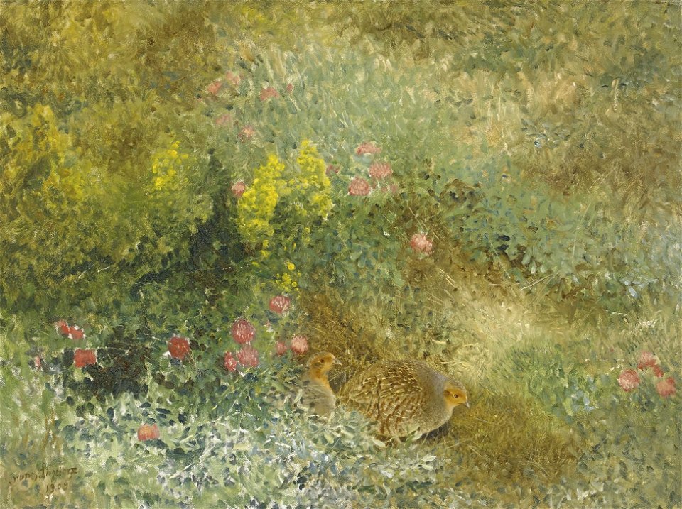 Bruno Liljefors - Grey Partridges 1909