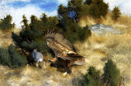 Bruno Liljefors - Örn jagande hare