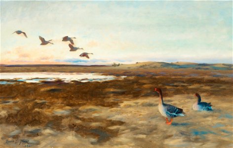 Bruno Liljefors - Sädgäss 1921