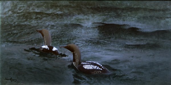Bruno Liljefors Black-throated Divers Thielska 242