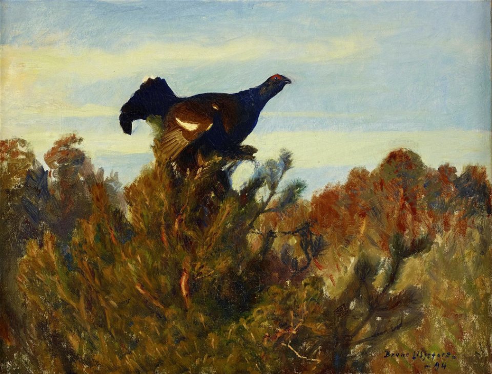 Bruno Liljefors - Orre 1894