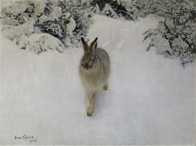 Bruno Liljefors Hare in Winter Thielska 262