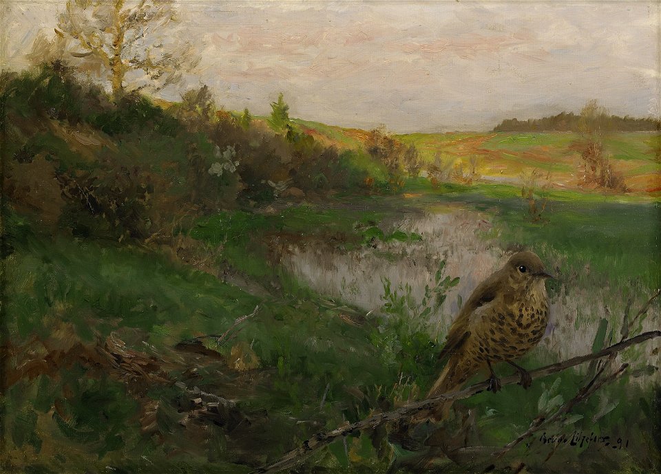 Bruno Liljefors - Landscape and song thrush 1891