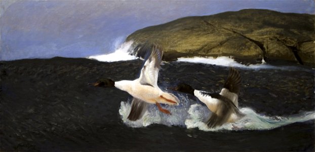 Bruno Liljefors Mergansers Thielska 234