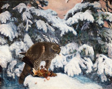 Bruno Liljefors - Duvhök med byte 1893
